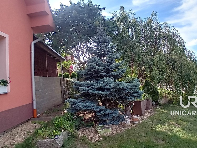 Prodej domu, 233 m² (24 z 48)