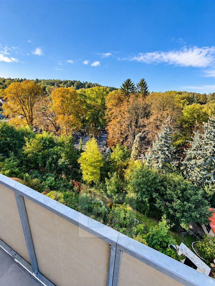 Pronájem bytu 2+kk 55 m² – fotografie 4