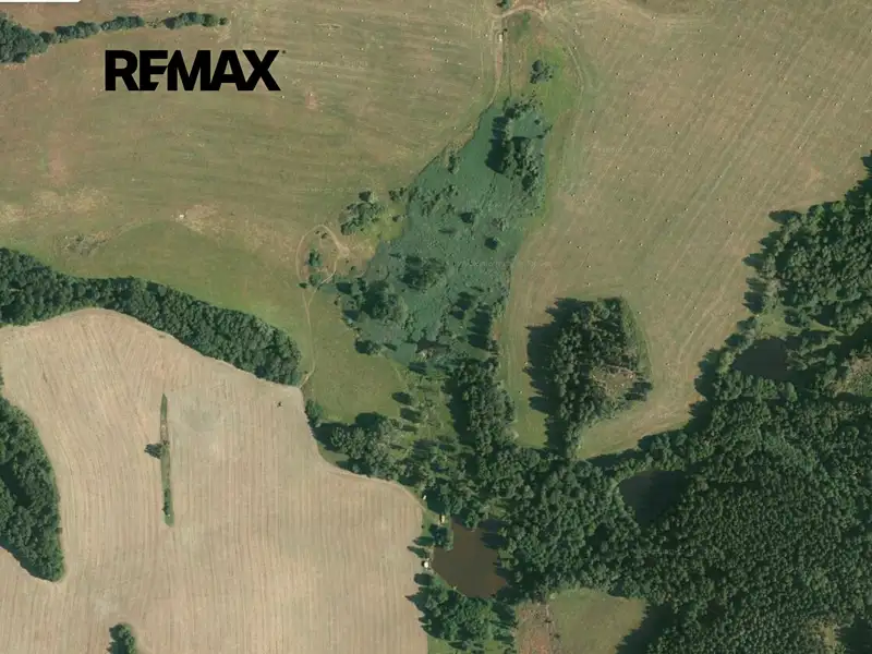 Prodej rybníku (vodní plochy) 10807 m², Hošťka – náhled fotky 3