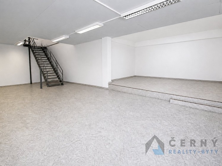 Prodej komerčního prostoru, 266 m² (8 z 12)