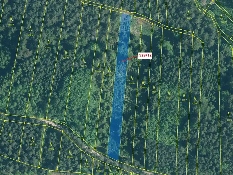 Dražba lesa 1517 m², Hosty – náhled fotky 2