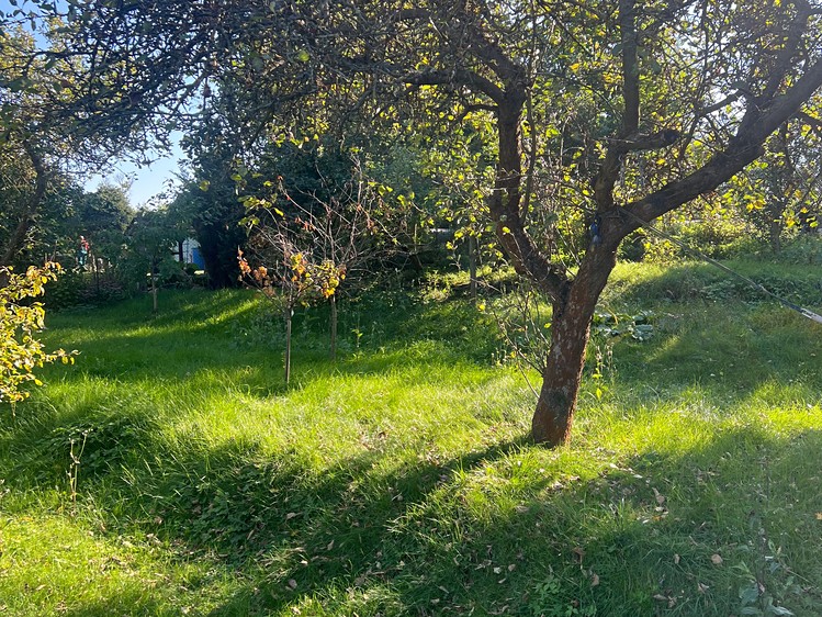 Prodej pozemku, 770 m² (5 z 18)