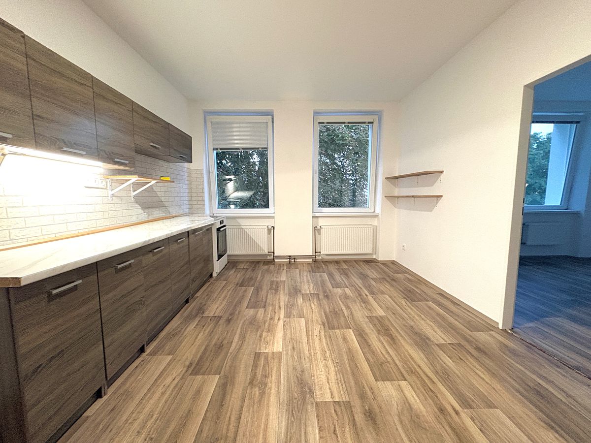 Pronájem bytu 2+1 45 m²