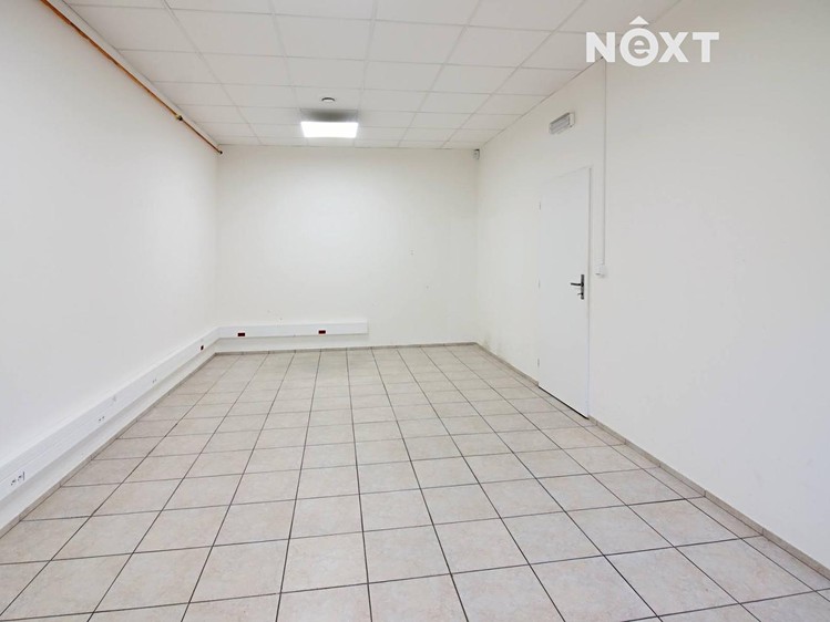 Pronájem komerčního prostoru, 3 100 m² (29 z 36)