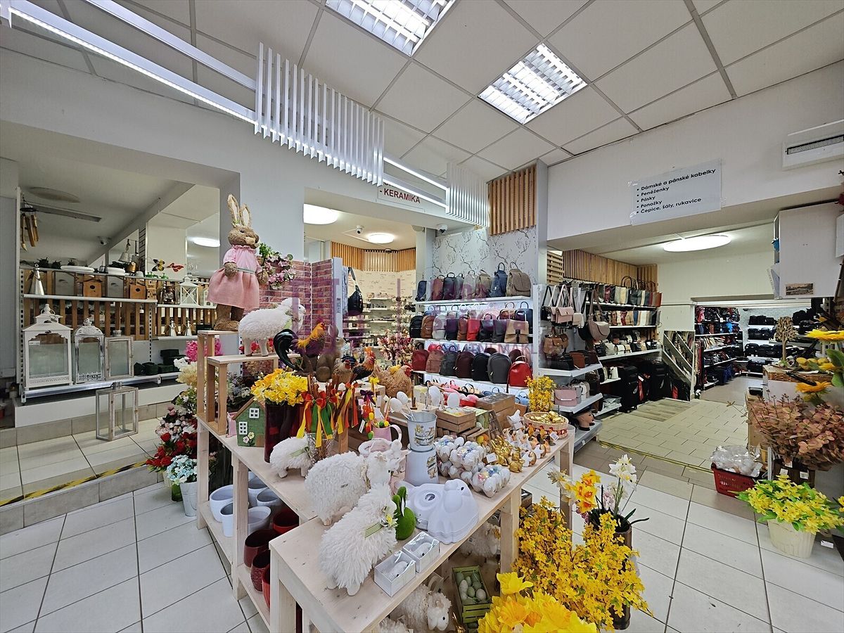 Prodej obchodního prostoru 320 m² – fotografie 4