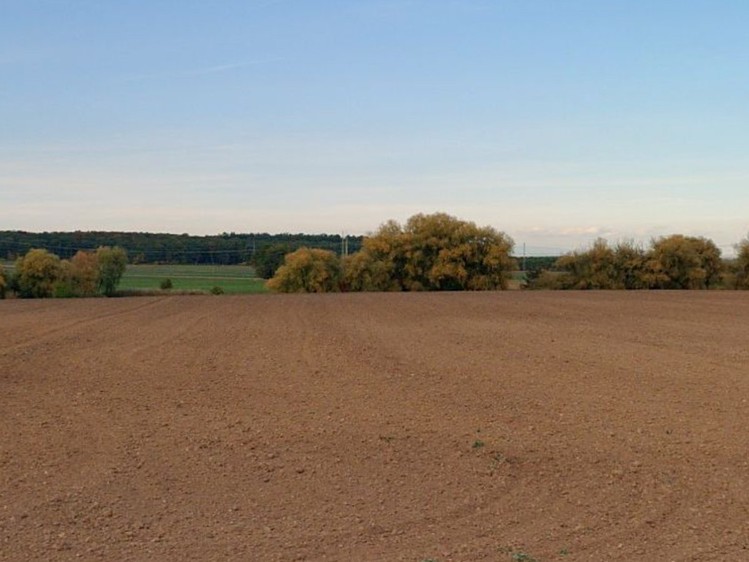 Prodej pozemku, 5 525 m² (2 z 4)