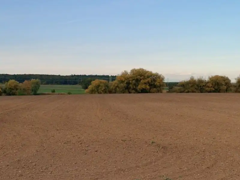 Prodej pozemku 5525 m², Bělušice – náhled fotky 2