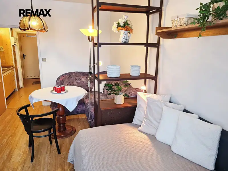Prodej bytu 1+kk 28 m², Brno – náhled fotky 3