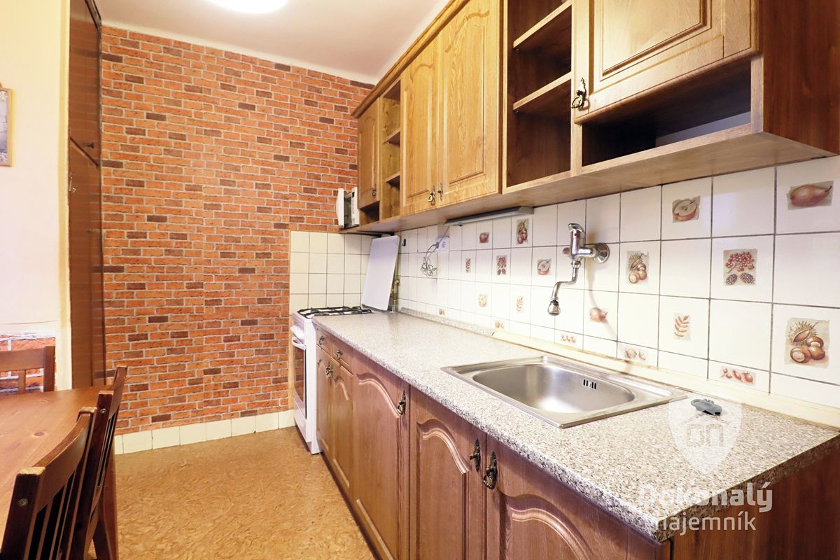 Pronájem bytu 2+1 49 m² – fotografie 4
