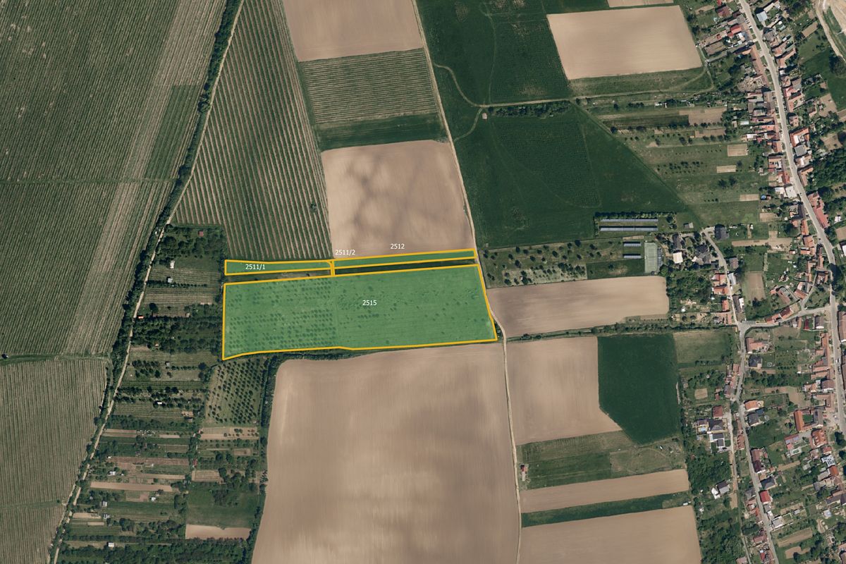 Prodej sadu, vinice 38921 m²