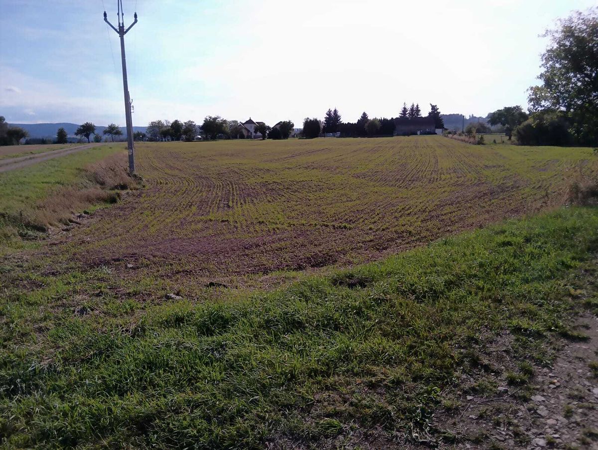 Dražba stavebního pozemku 9030 m², Vrbice – fotka 1 z 3