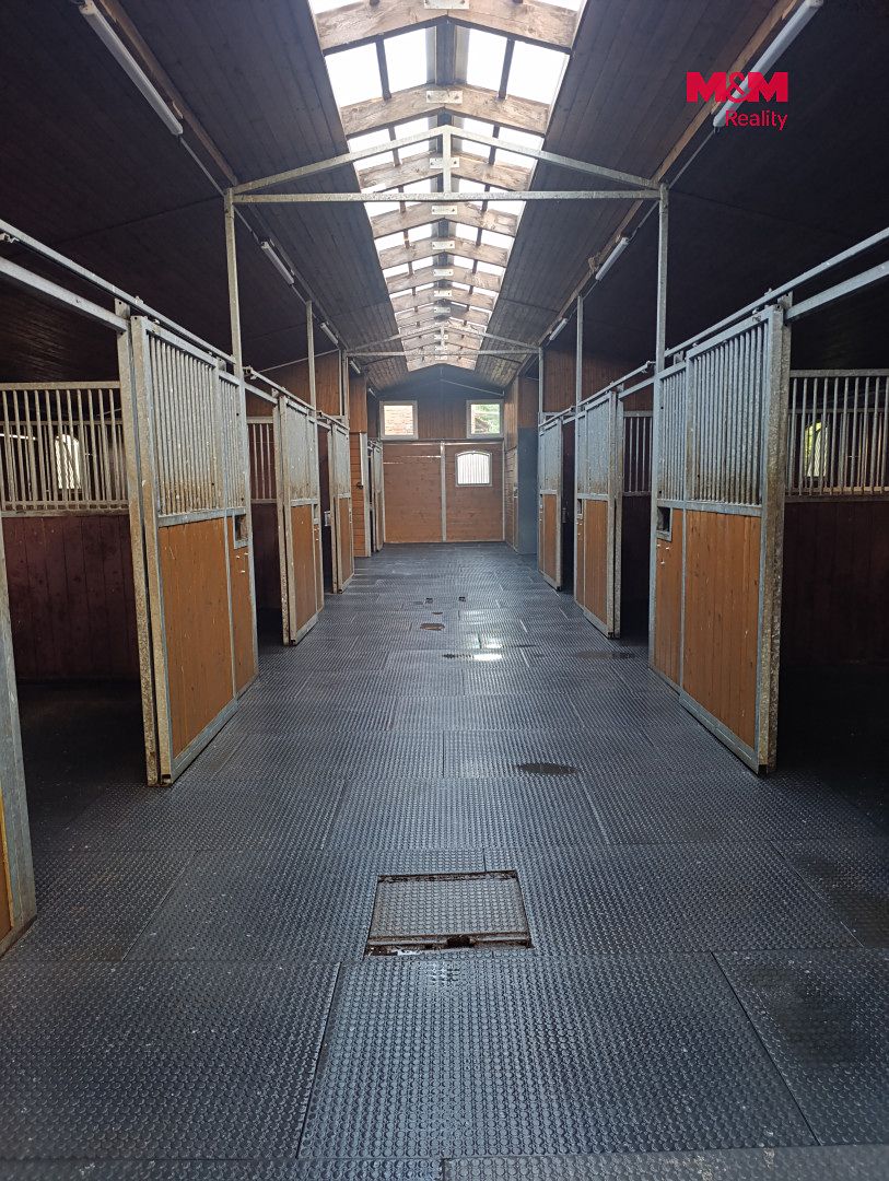 Pronájem zemědělského objektu 352 m² – fotografie 2