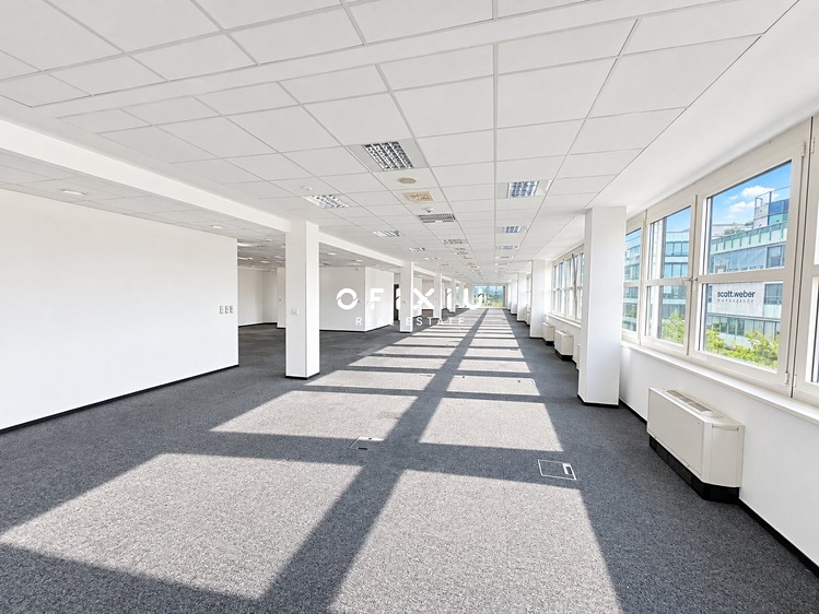 Pronájem komerčního prostoru, 2 208 m² (11 z 17)