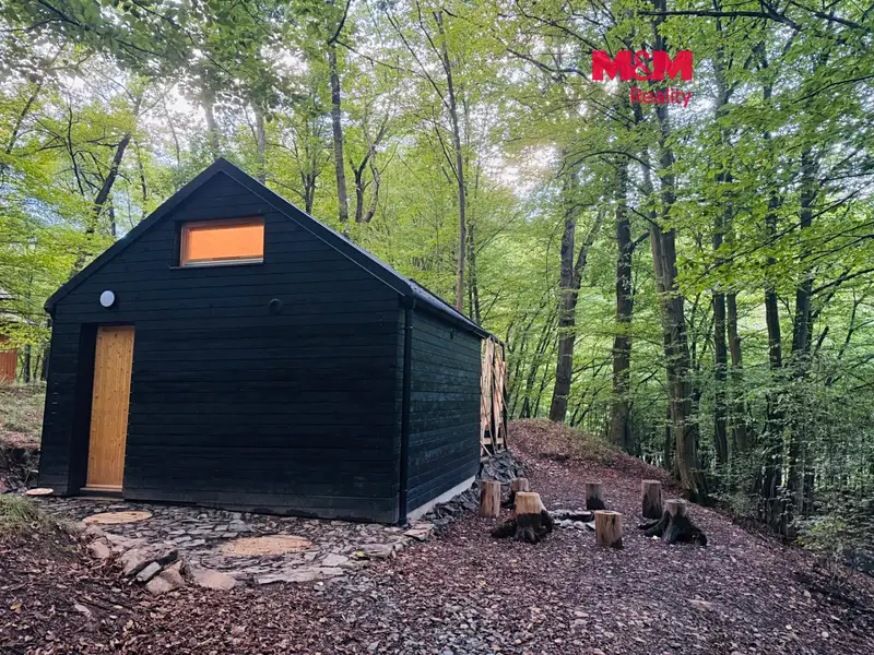 Prodej chaty 16 m², pozemek 153 m², Štěchovice – náhled fotky 1