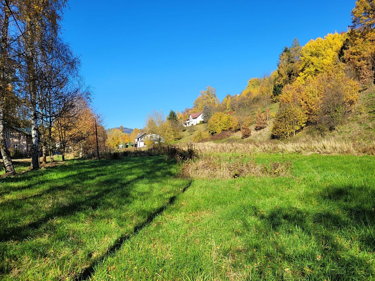 Prodej stavebního pozemku 4996 m² – fotografie 2