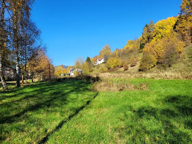 Prodej stavebního pozemku 4996 m², Heřmánkovice – náhled fotky 2