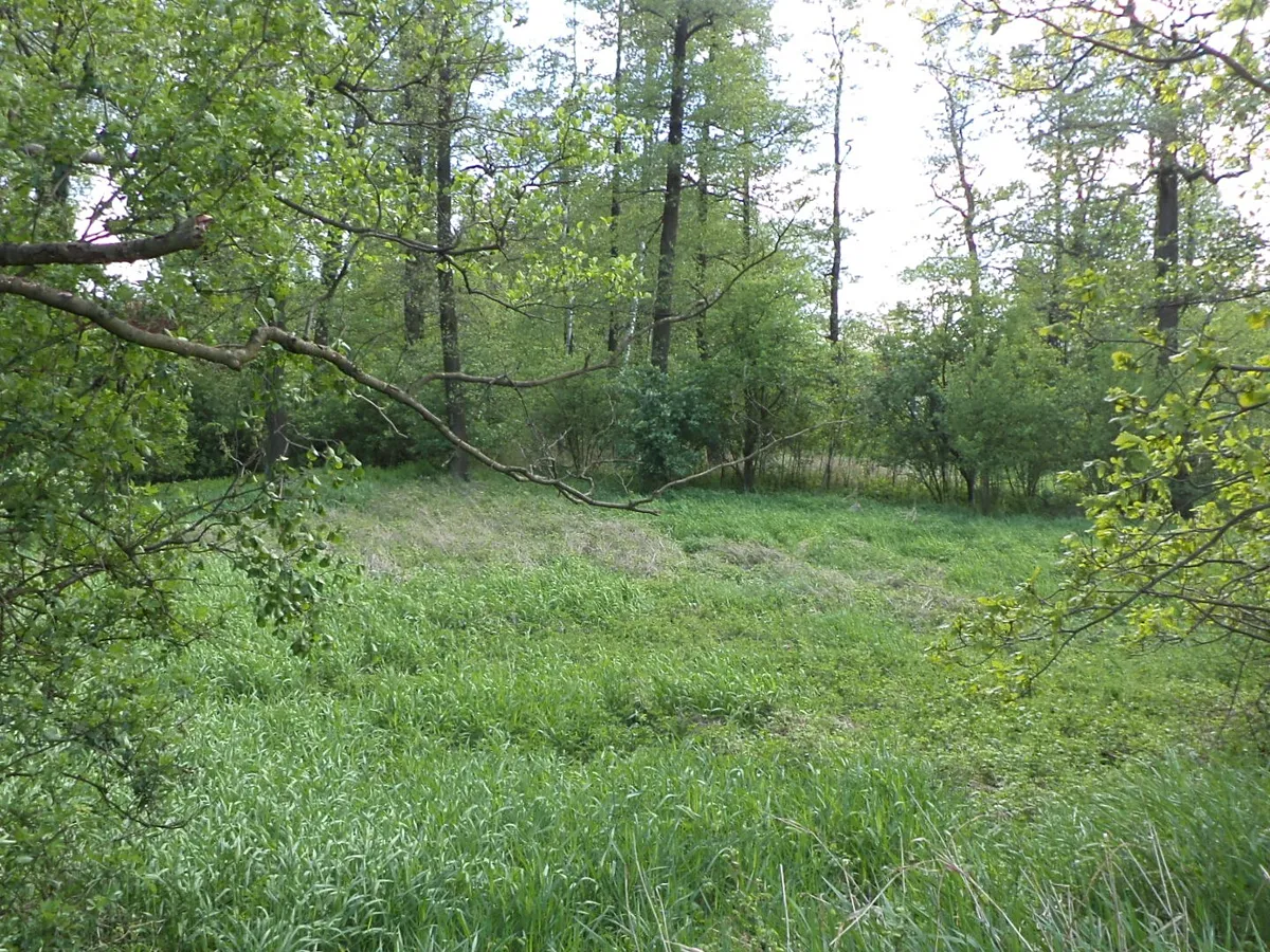 Dražba louky 1844 m²