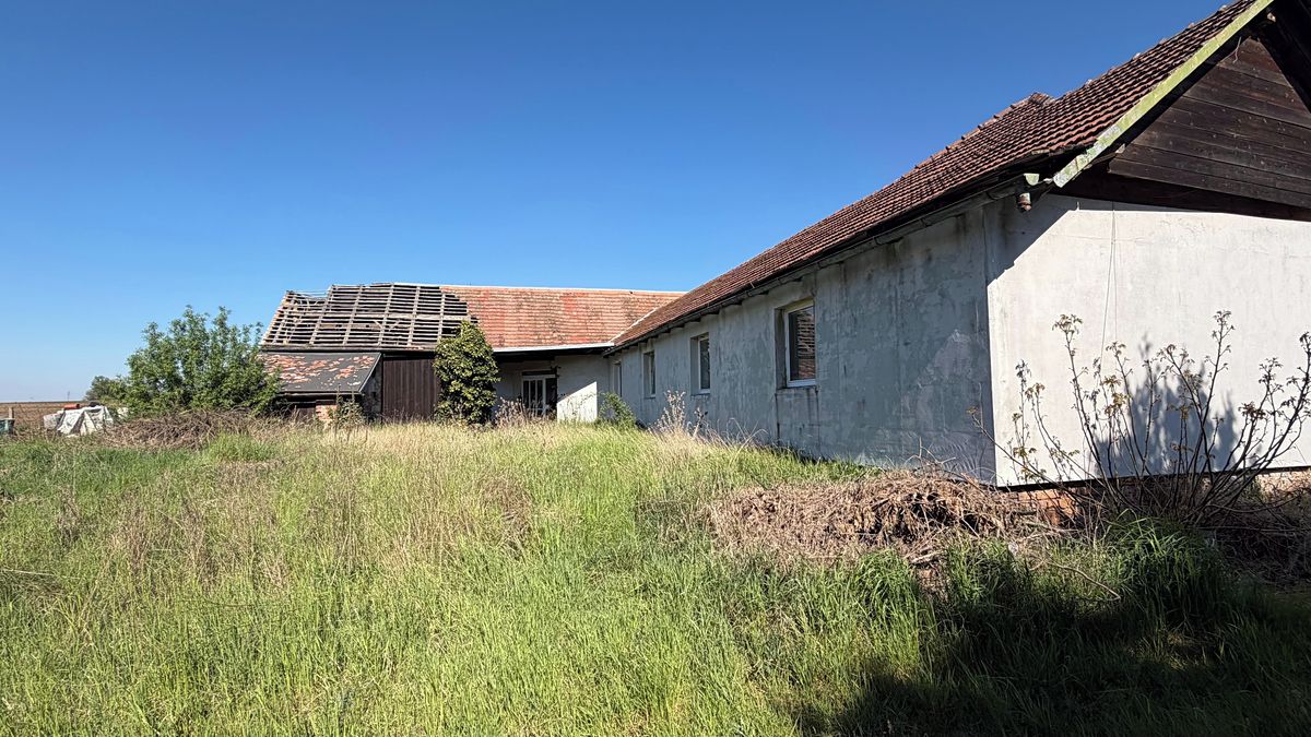 Prodej rodinného domu 560 m², pozemek 5194 m² – fotografie 5