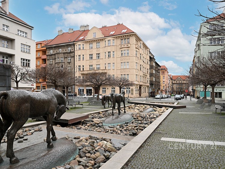 Pronájem bytu 2+1, 79 m² (2 z 15)