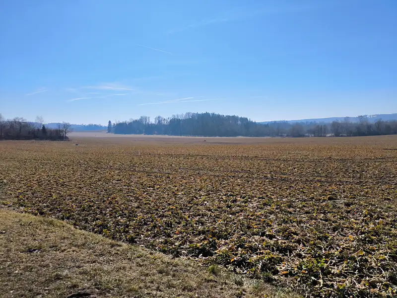 Prodej louky 116147 m², Krahulčí – náhled fotky 1
