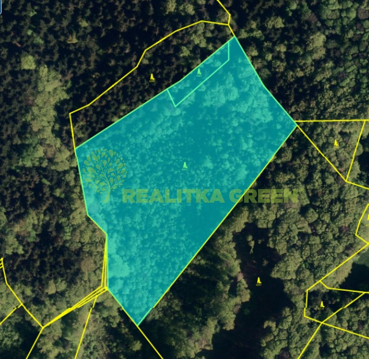 Prodej lesa 22655 m²