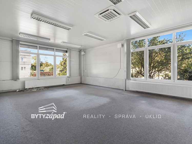 Gewerbefläche zur Miete, 489 m² (8 von 23)