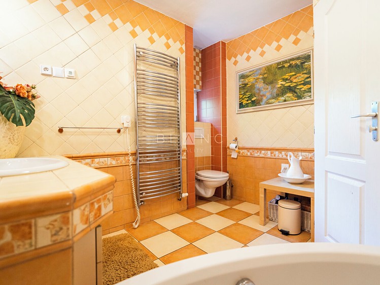 Будинок на продаж, 161 м² (6 з 22)