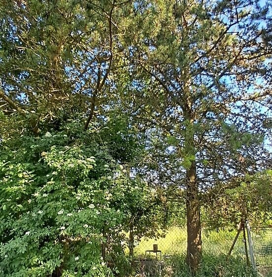 Grundstück zum Kauf, 4.438 m² (6 von 12)
