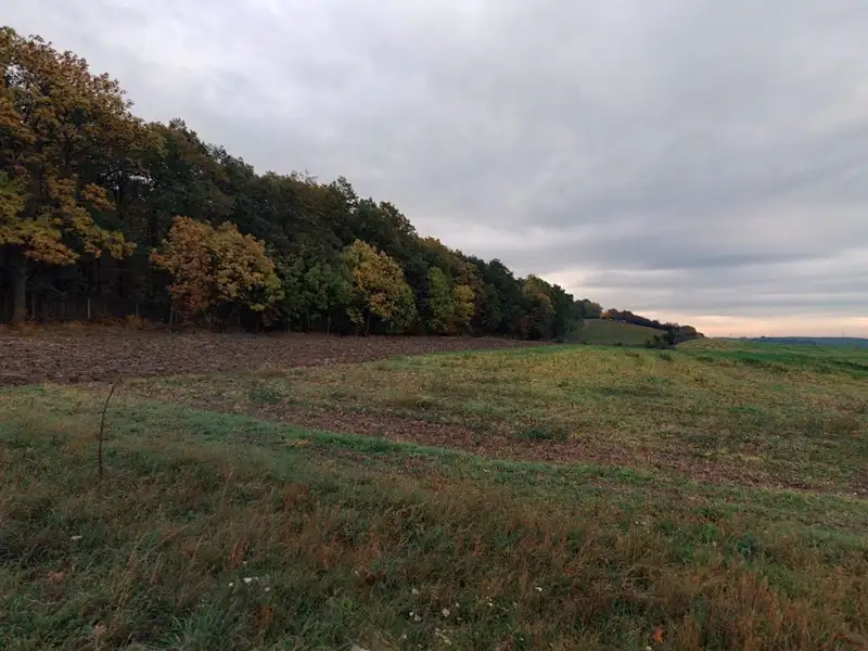 Prodej pole 10141 m², Polní Chrčice – náhled fotky 2