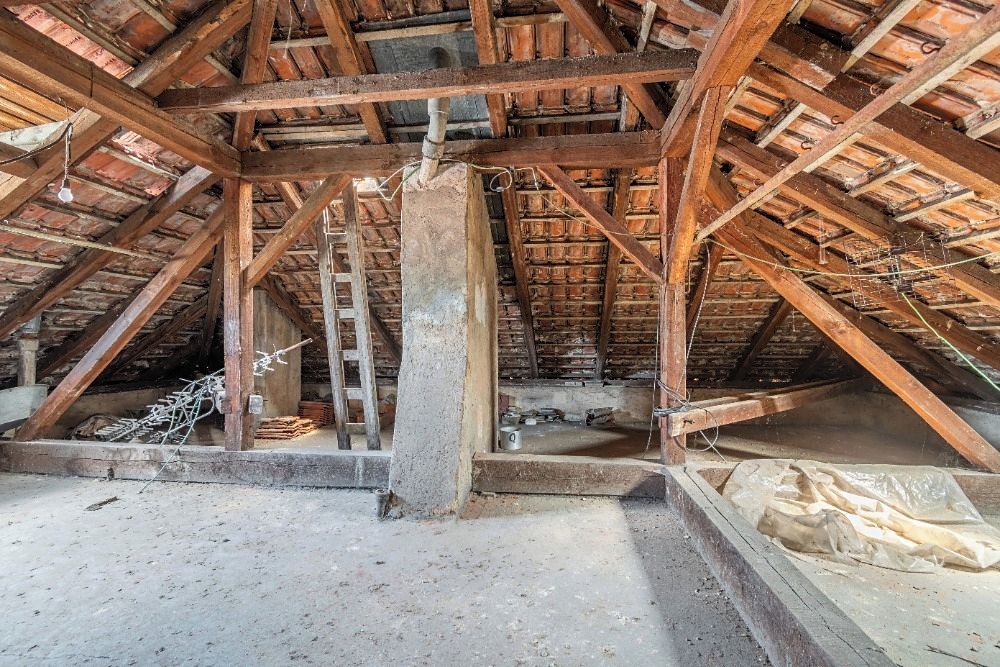 Prodej rodinného domu 300 m², pozemek 670 m² – fotografie 3
