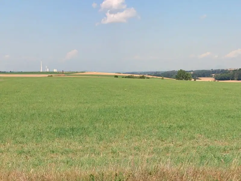 Prodej pole 11301 m², Vysoká – náhled fotky 2