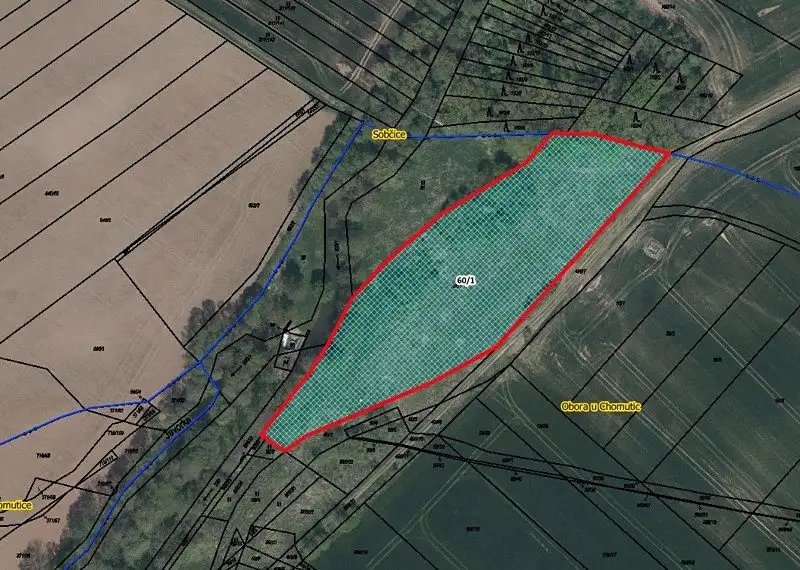 Prodej louky 8619 m², Chomutice – náhled fotky 1