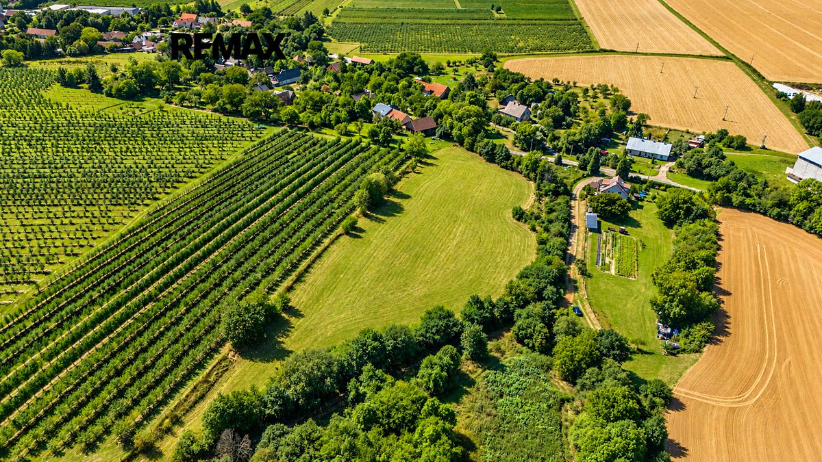 Prodej stavebního pozemku 12143 m² – fotografie 3
