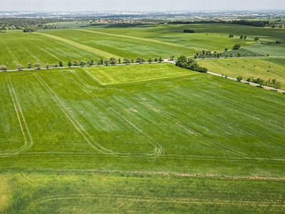 The Plot for sale, 805 m² (3 of 11)