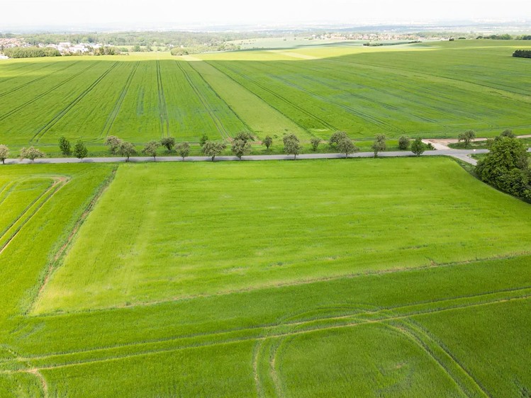 The Plot for sale, 805 m² (6 of 11)