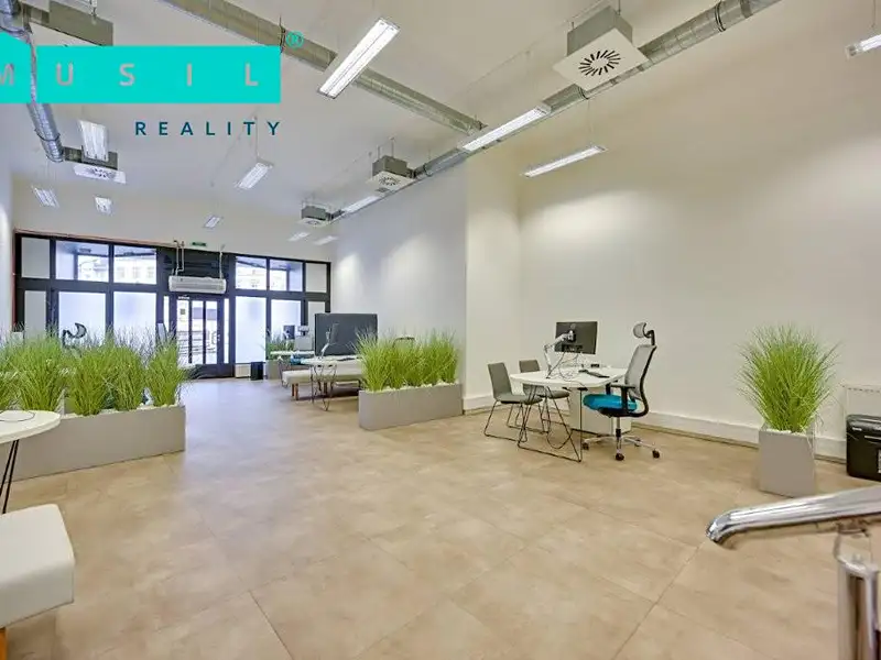 Pronájem obchodního prostoru 300 m², Olomouc – náhled fotky 3
