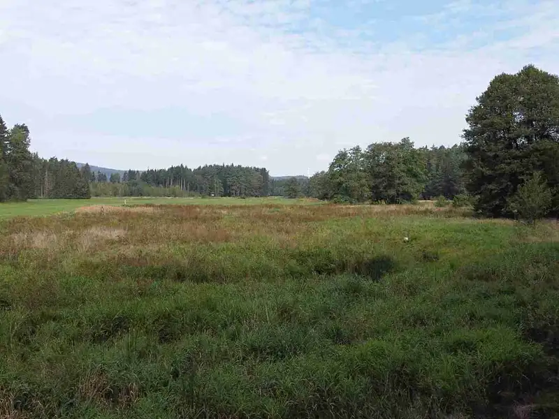 Prodej pole 52176 m², Rozvadov – náhled fotky 2