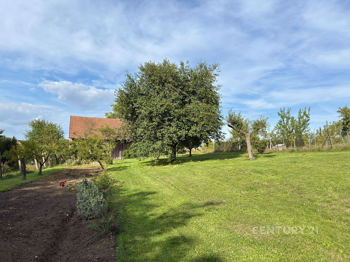 Prodej rodinného domu 114 m², pozemek 2707 m² – fotografie 2