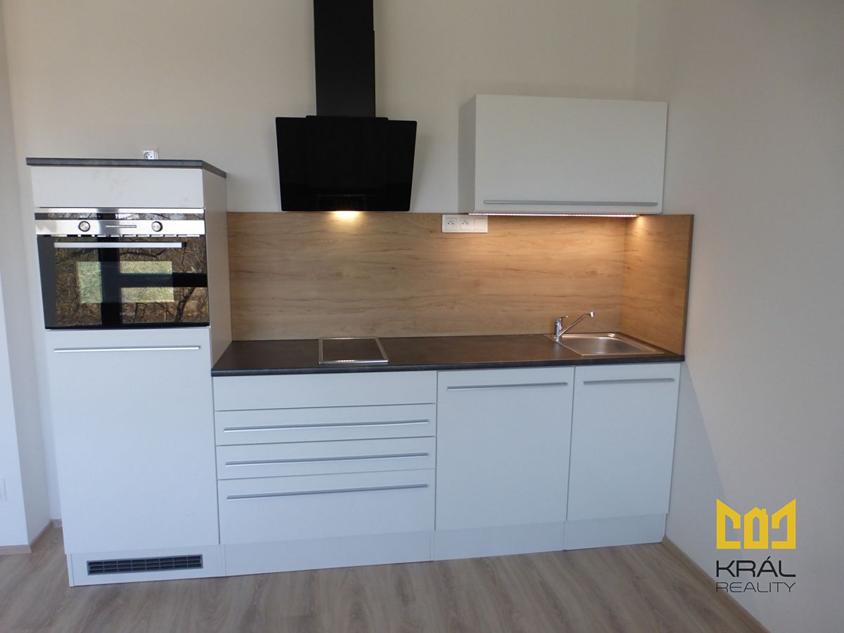 Pronájem bytu 1+kk 41 m² – fotografie 3