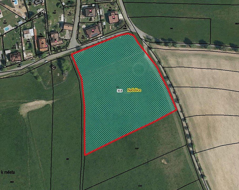 Prodej pole 12430 m², Načešice – fotka 1 z 3