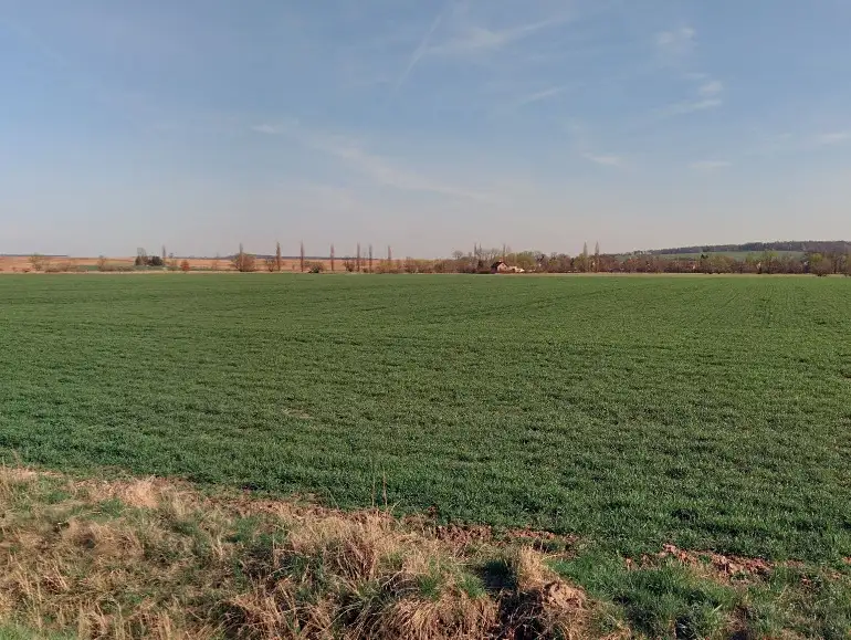 Prodej pole 22509 m², Nechanice – náhled fotky 2