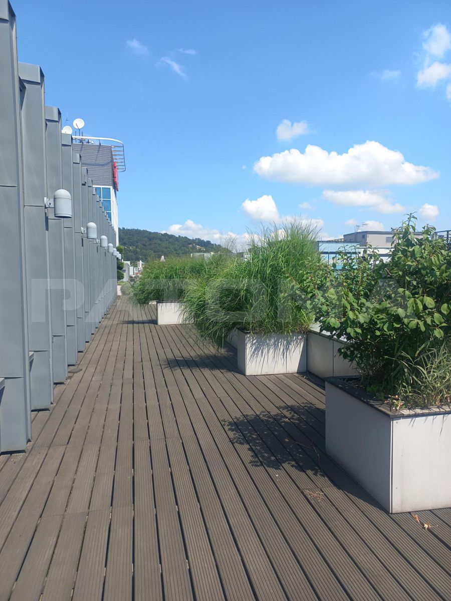 Pronájem kanceláře 168 m² – fotografie 5