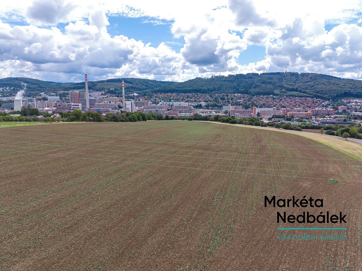 Prodej pole 5872 m² – fotografie 4