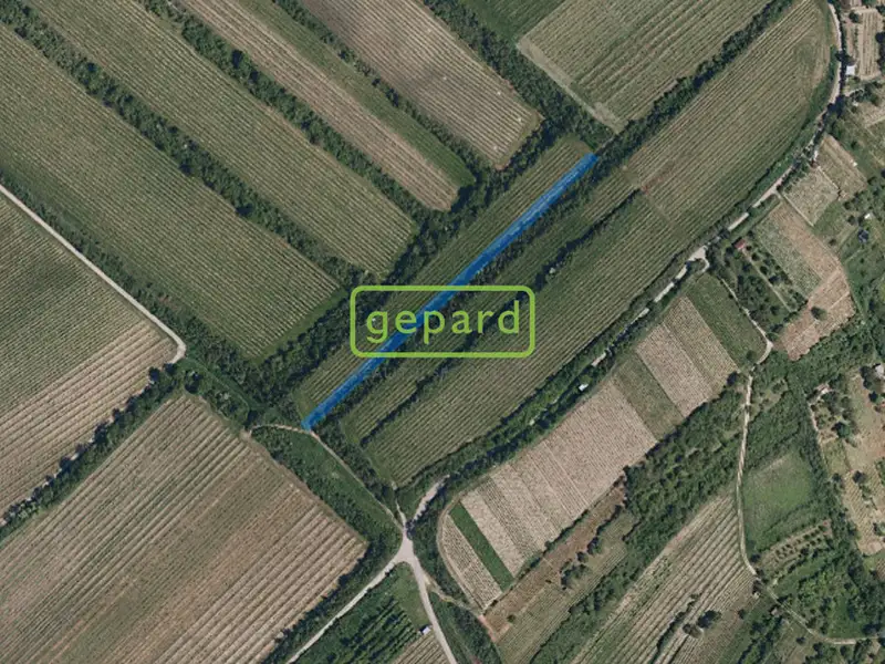 Prodej sadu, vinice 2166 m², Starovice – náhled fotky 2