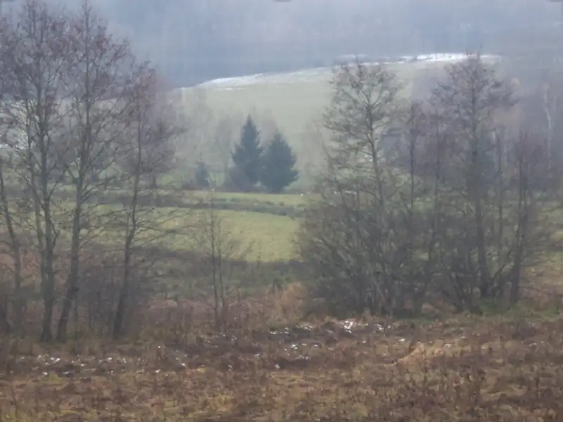Dražba louky 919 m², Vyšší Brod – náhled fotky 3