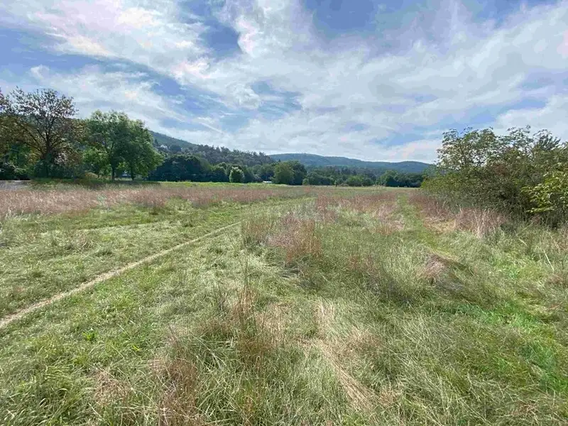 Dražba louky 601 m², Všenory – náhled fotky 3