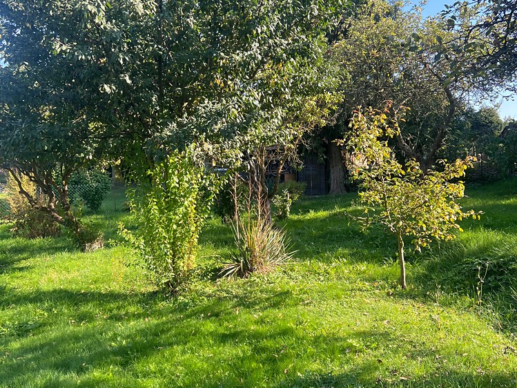 Prodej pozemku, 770 m² (4 z 18)