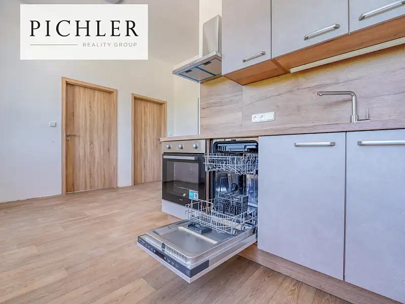 Pronájem bytu 2+kk 54 m², Horní Bříza – náhled fotky 3