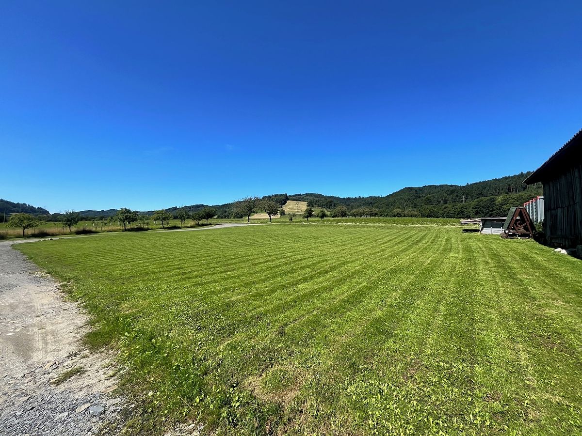 Pronájem pozemku 1572 m² – fotografie 3