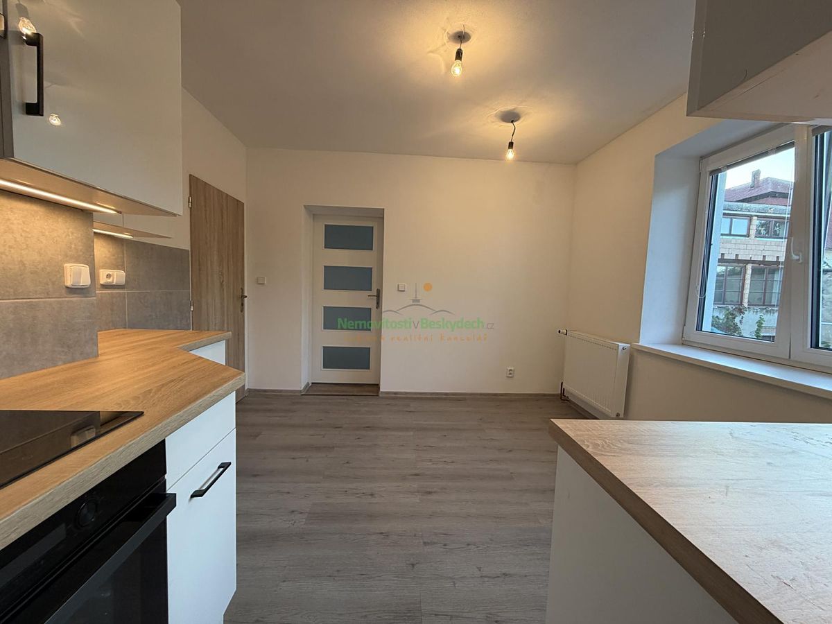 Pronájem bytu 1+1 48 m² – fotografie 3